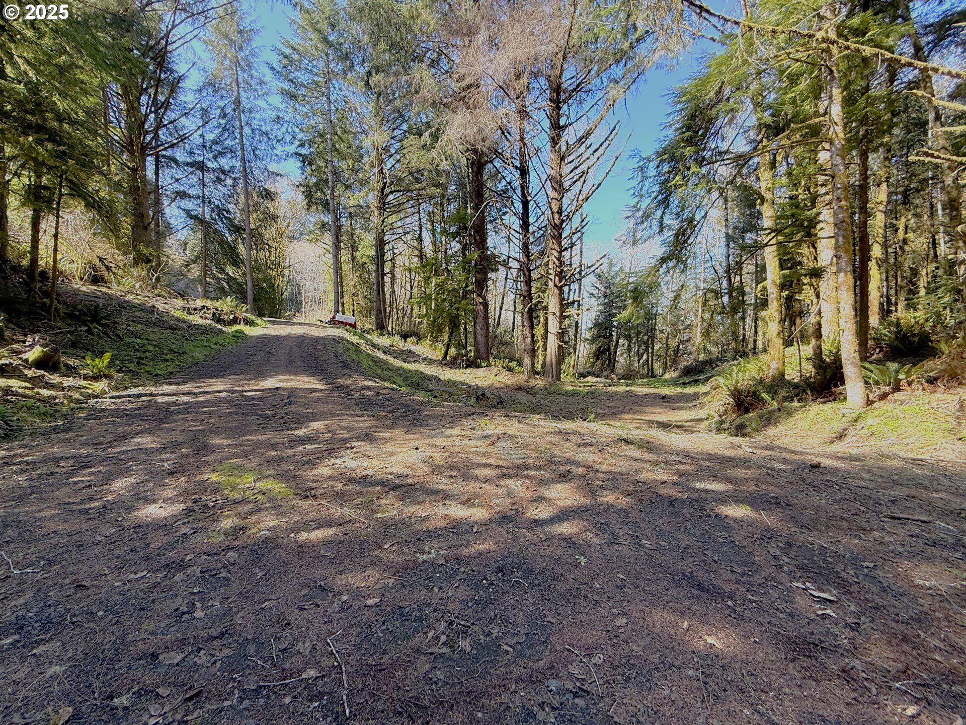 Fiddle Back North Bend, OR 97459 - Photo 7 of 13