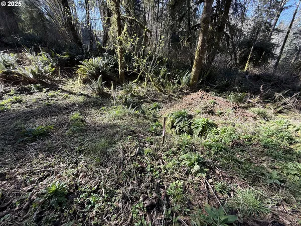 $195,000 | Fiddle Back, North Bend, OR 97459