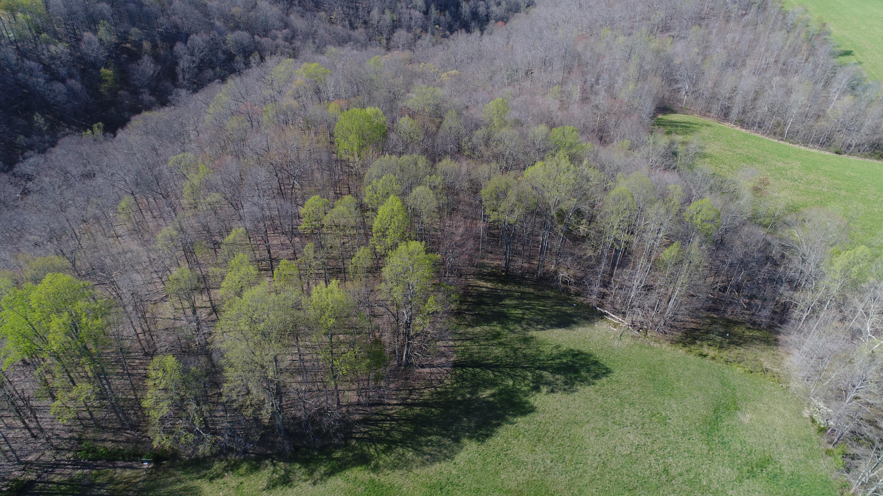 3578 Hickory Nut Road Nancy, KY 42544 - Photo 17 of 26 DJI_0070