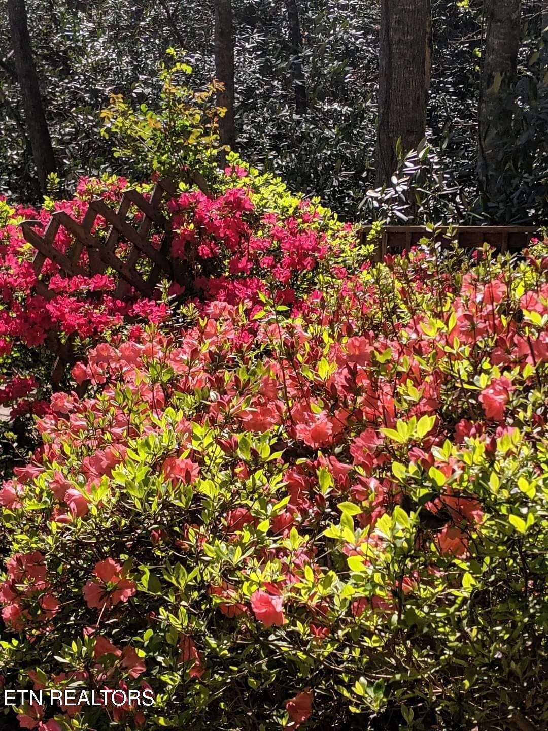 3129 Hickey Road, Unit A&B Sevierville, TN 37876 - Photo 57 of 58 Gallery Image 57