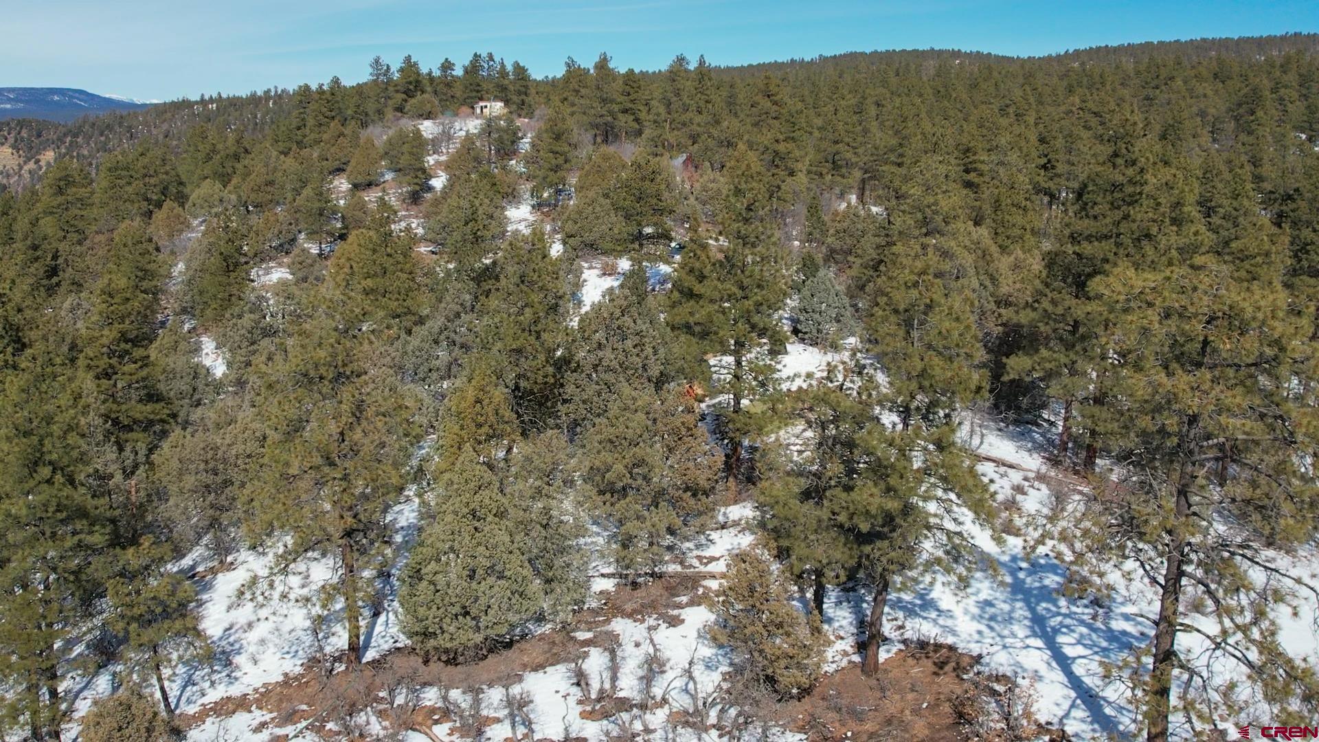 2932 Crooked Road Pagosa Springs, CO 81147 - Photo 11 of 29 a view of mountain with trees in the background