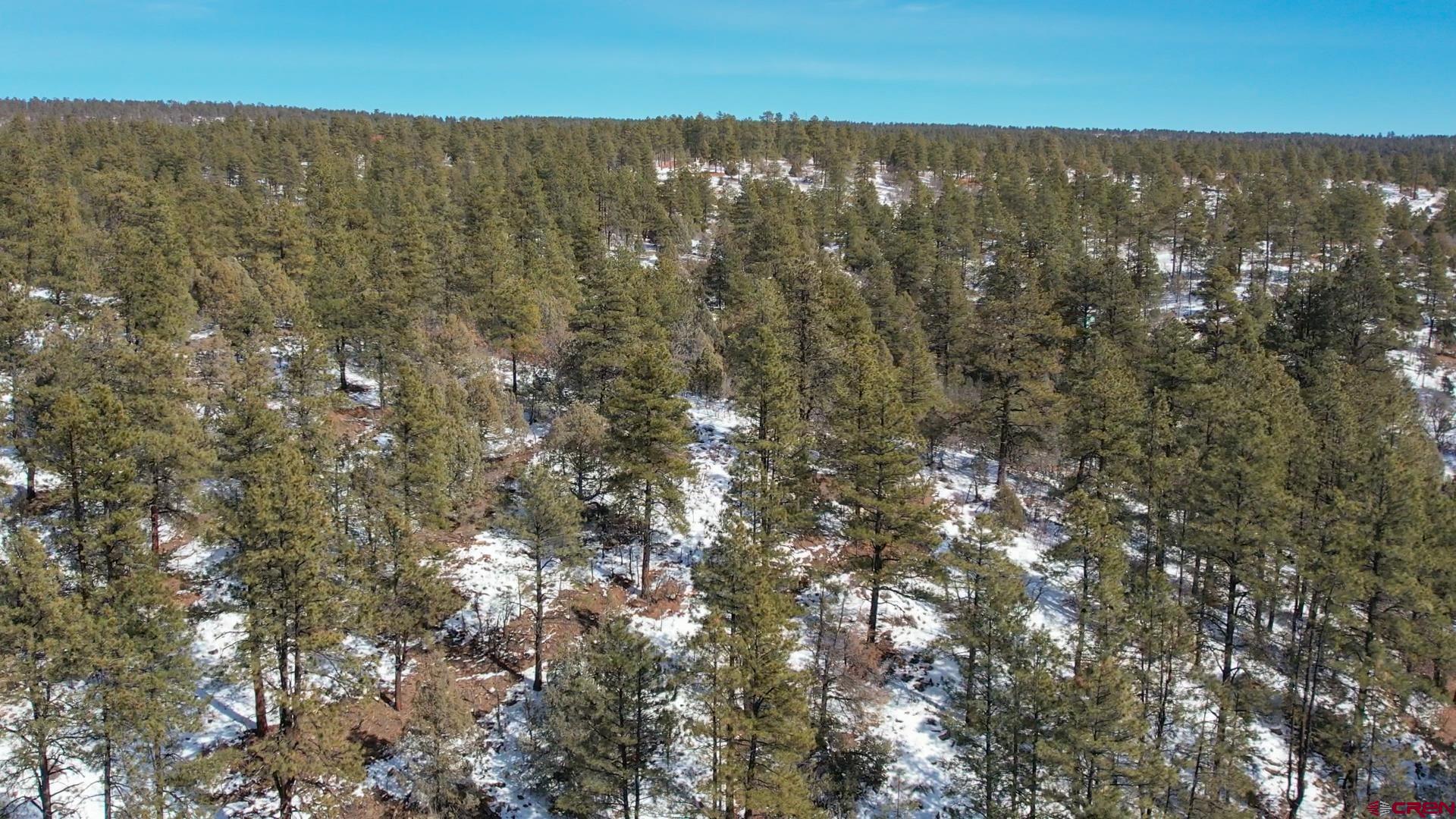 2932 Crooked Road Pagosa Springs, CO 81147 - Photo 12 of 29