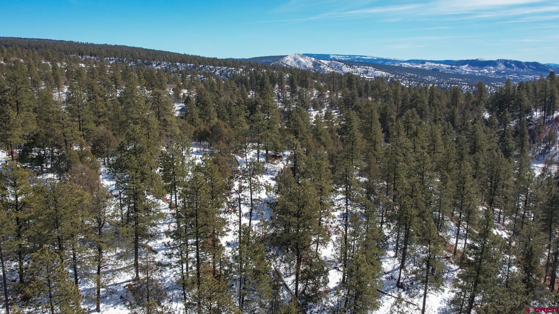 2932 Crooked Road Pagosa Springs, CO 81147 - Photo 15 of 29 a view of a city with mountain