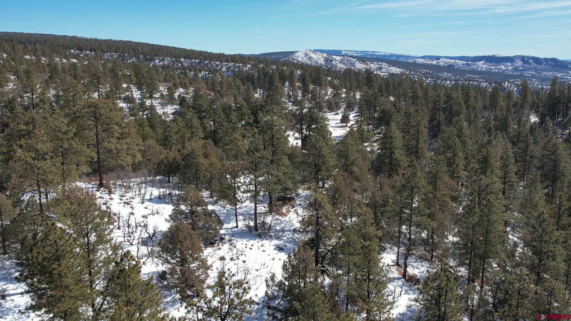 2932 Crooked Road Pagosa Springs, CO 81147 - Photo 16 of 29 a view of a forest
