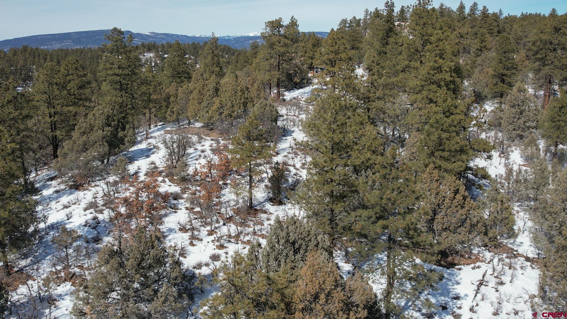 2932 Crooked Road Pagosa Springs, CO 81147 - Photo 17 of 29 a view of a forest with a tree