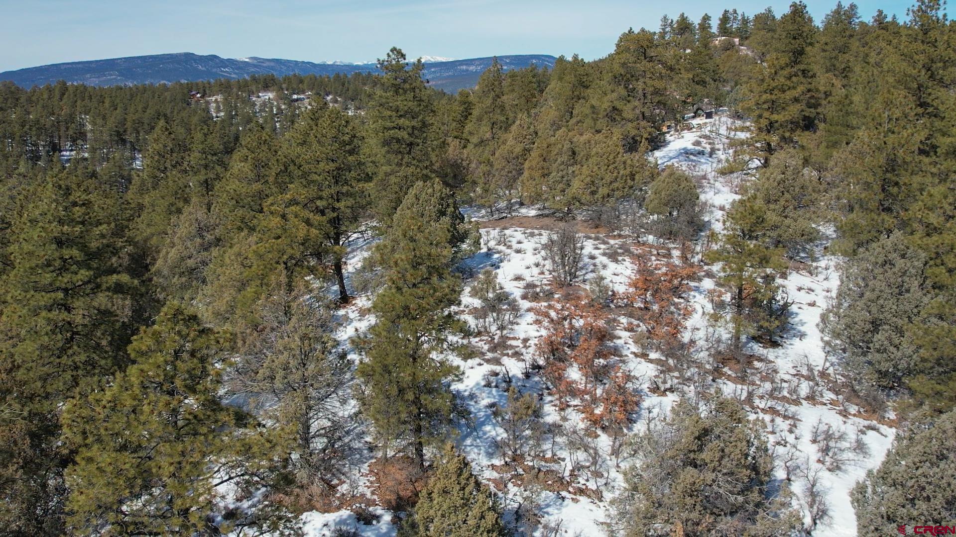 2932 Crooked Road Pagosa Springs, CO 81147 - Photo 18 of 29 a view of a house with a forest