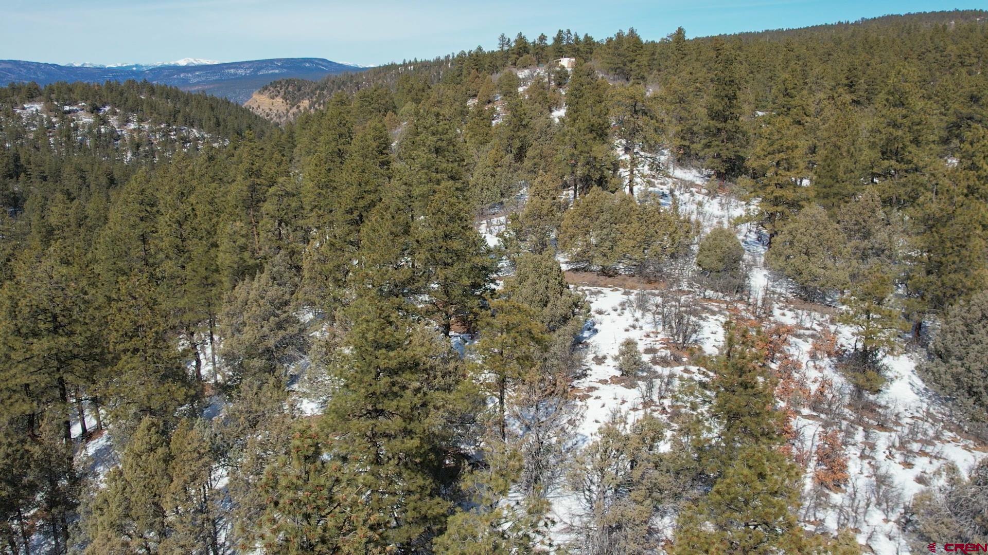 2932 Crooked Road Pagosa Springs, CO 81147 - Photo 19 of 29 a view of mountain view with lots of trees