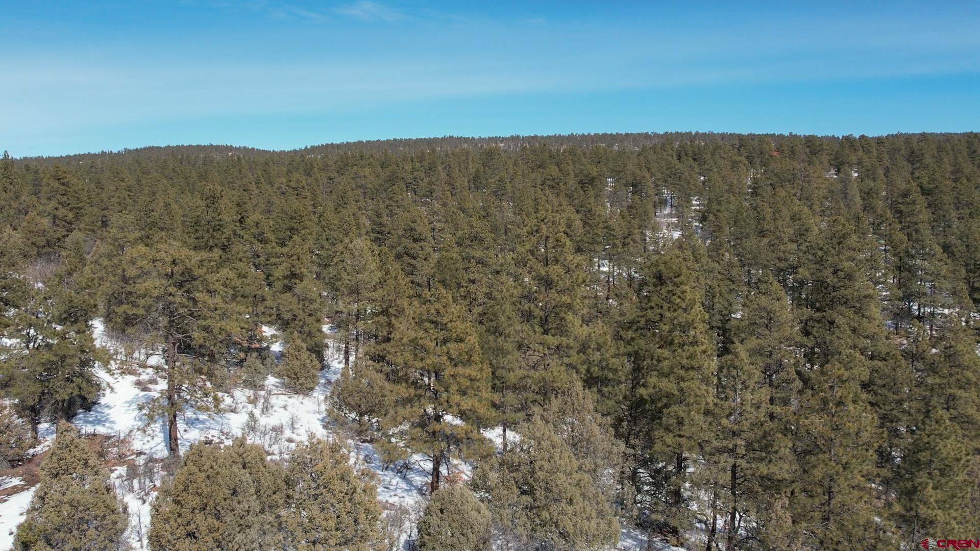 2932 Crooked Road Pagosa Springs, CO 81147 - Photo 25 of 29 a view of a dry yard with mountains in the background