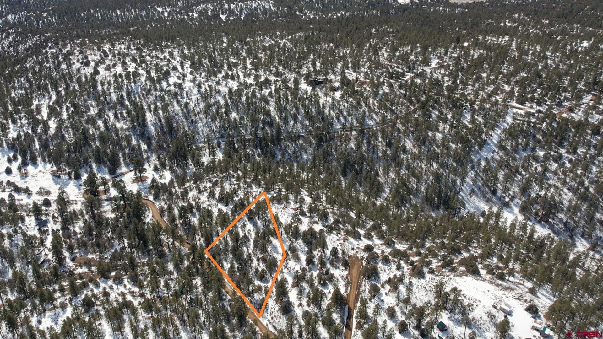 2932 Crooked Road Pagosa Springs, CO 81147 - Photo 26 of 29 a view of tree