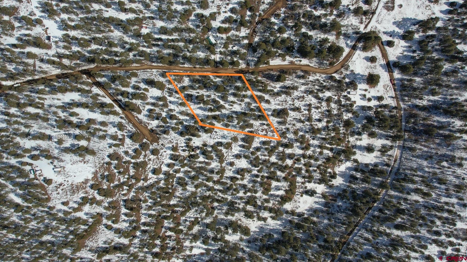 2932 Crooked Road Pagosa Springs, CO 81147 - Photo 27 of 29 a close up of a tree