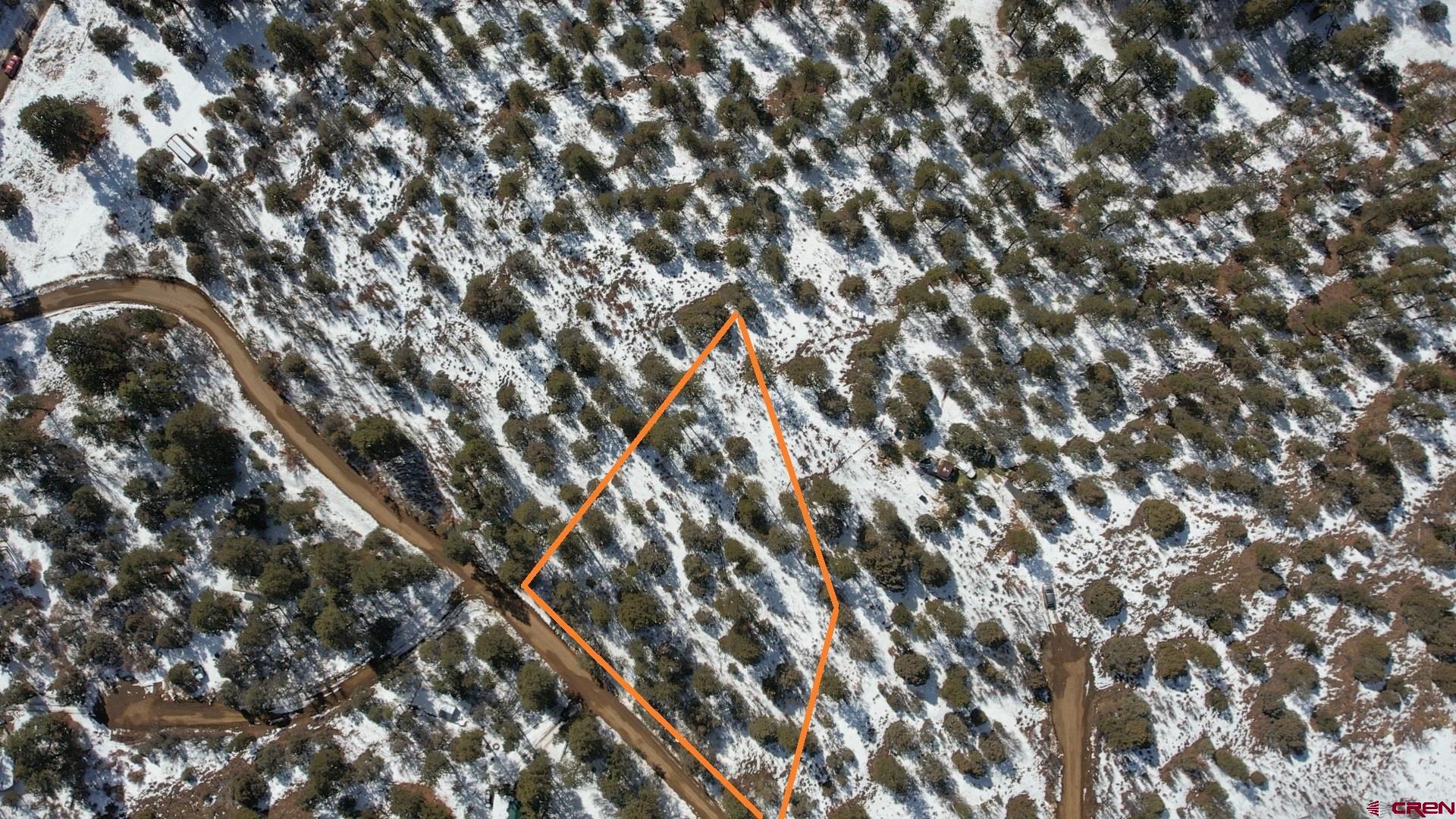 2932 Crooked Road Pagosa Springs, CO 81147 - Photo 28 of 29 a close up view of a tree
