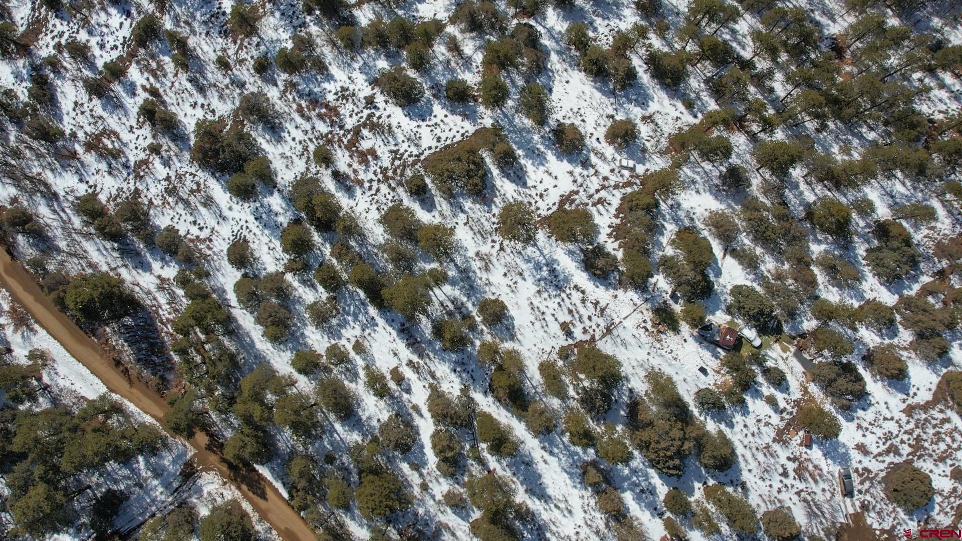 2932 Crooked Road Pagosa Springs, CO 81147 - Photo 29 of 29