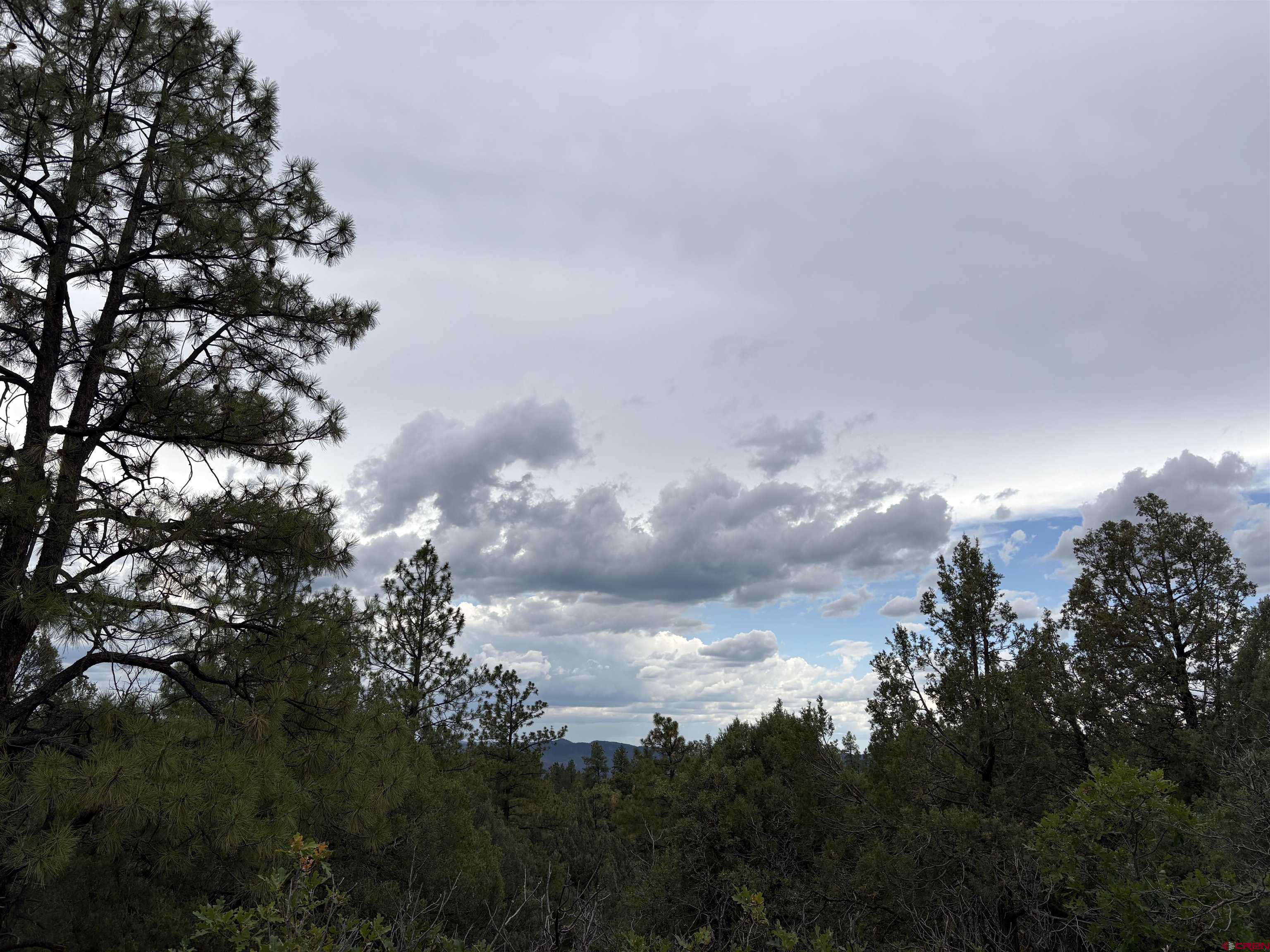 2932 Crooked Road Pagosa Springs, CO 81147 - Photo 3 of 29 a view of a city of lots of trees