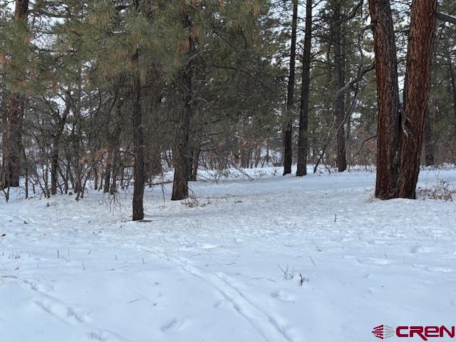 2932 Crooked Road Pagosa Springs, CO 81147 - Photo 8 of 29 a view of outdoor space with trees