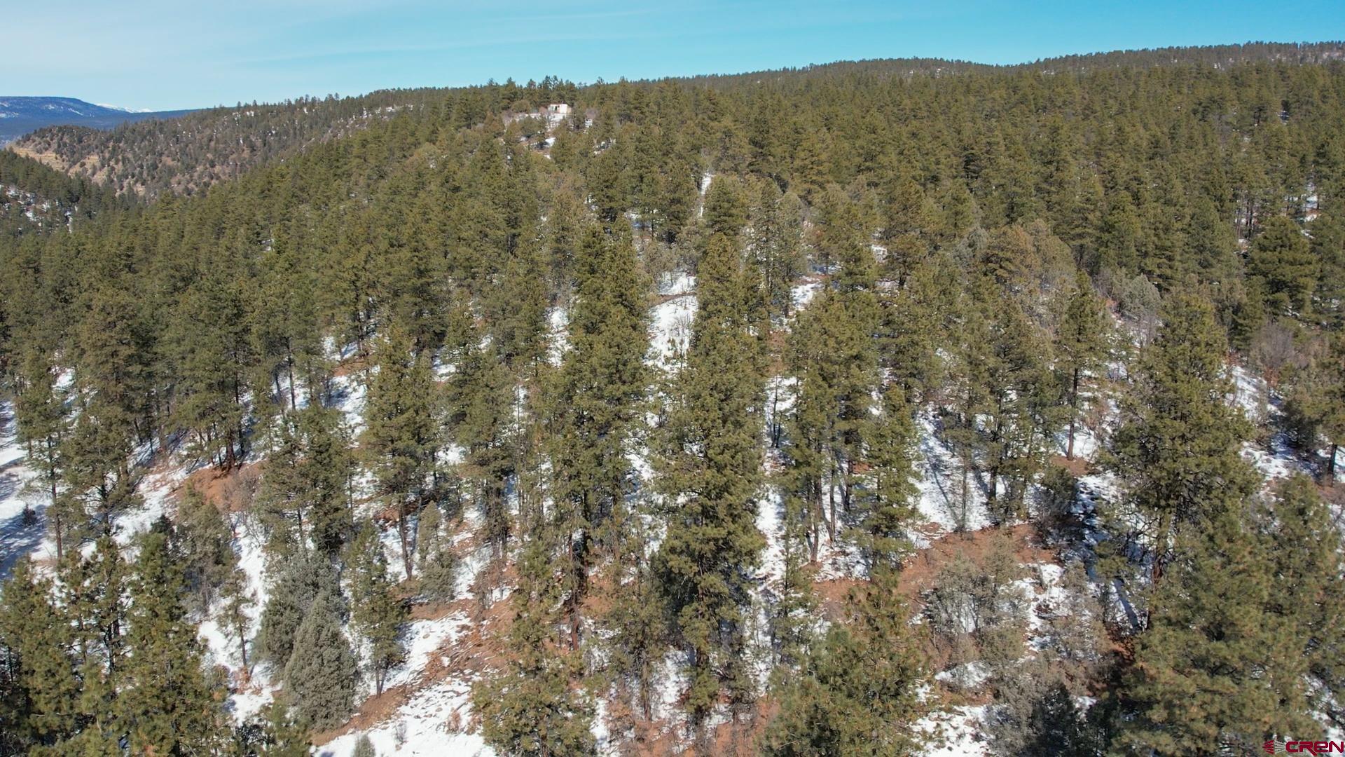 2932 Crooked Road Pagosa Springs, CO 81147 - Photo 10 of 29 a view of mountain view with lots of trees
