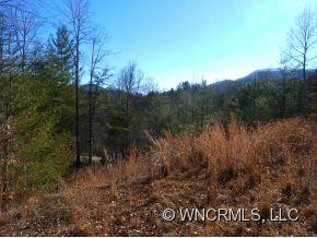 3-4 Rustic Heights Road, Unit 3 #4 Waynesville, NC 28785 - Photo 10 of 12 a view of a yard
