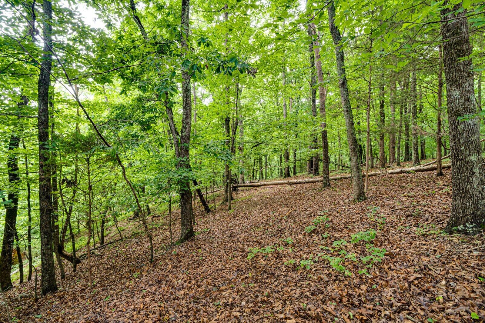 3537 Camp Road Collegedale, TN 37363 - Photo 43 of 59 3537 Camp Rd-43