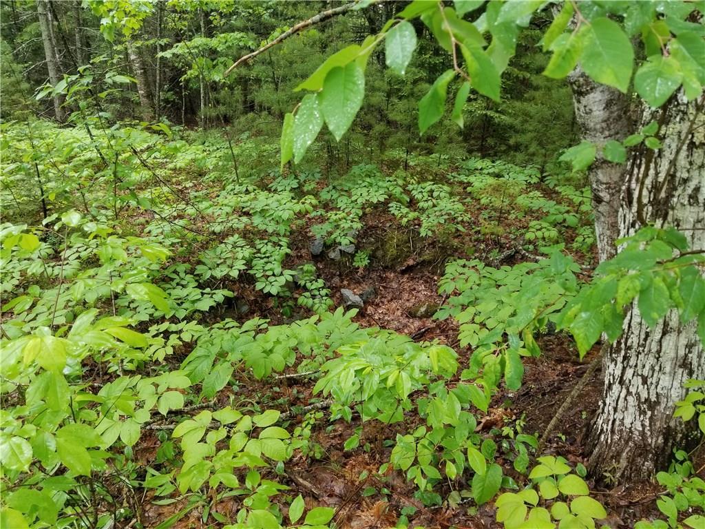 22 Dwelly Point Road Franklin, ME 04634 - Photo 2 of 4 Photo