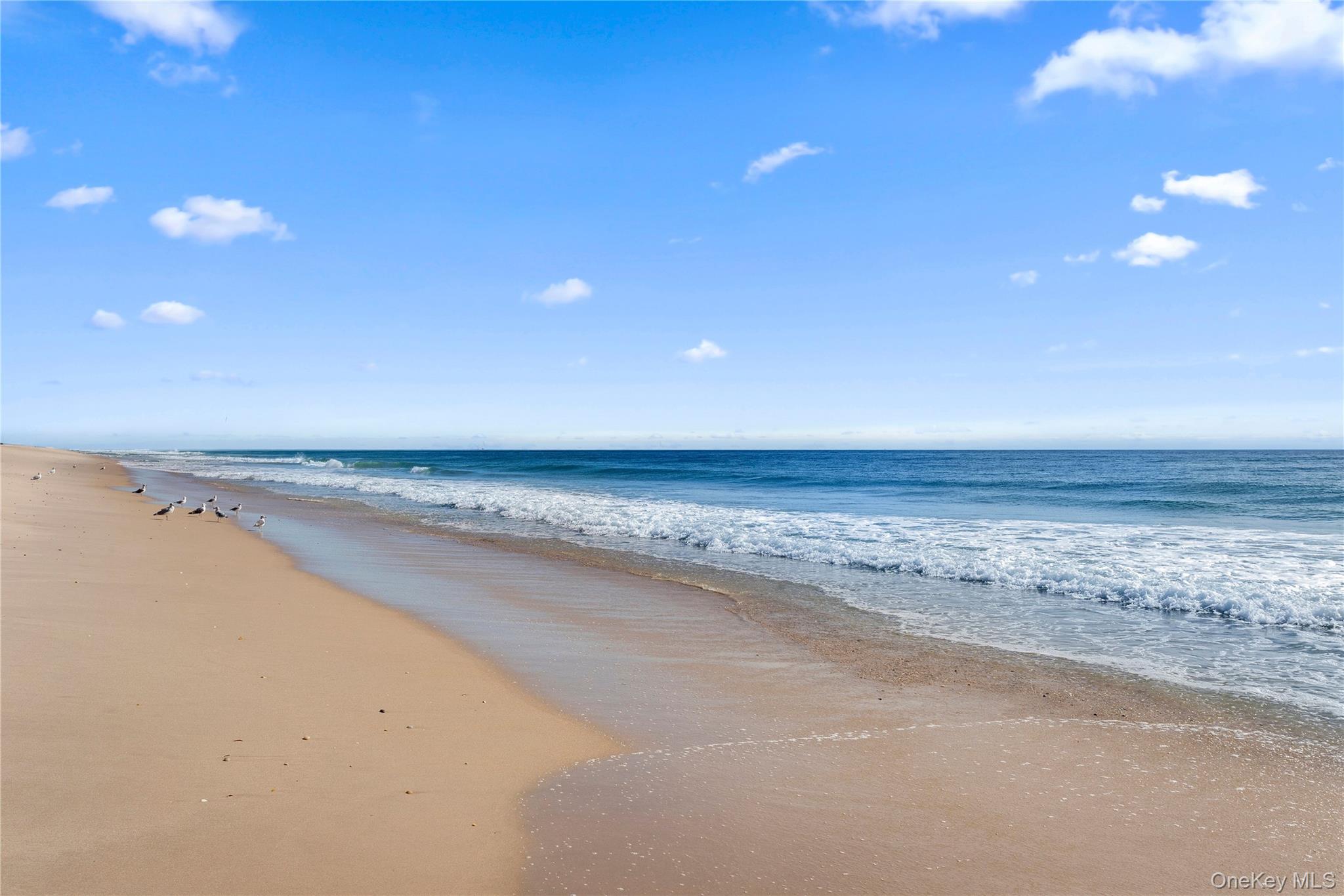 161 South Road Westhampton, NY 11977 - Photo 34 of 34 and world renowned Ocean Beaches !