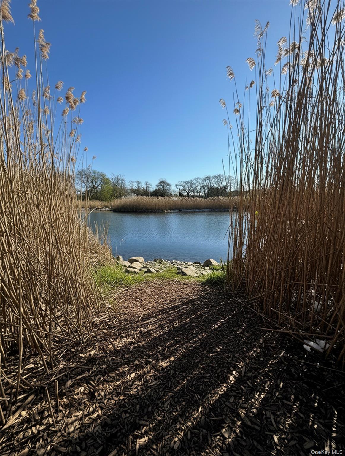 161 South Road Westhampton, NY 11977 - Photo 5 of 32 a view of a lake