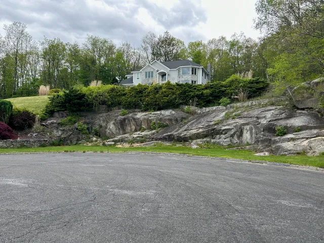 a view of a garden with plants