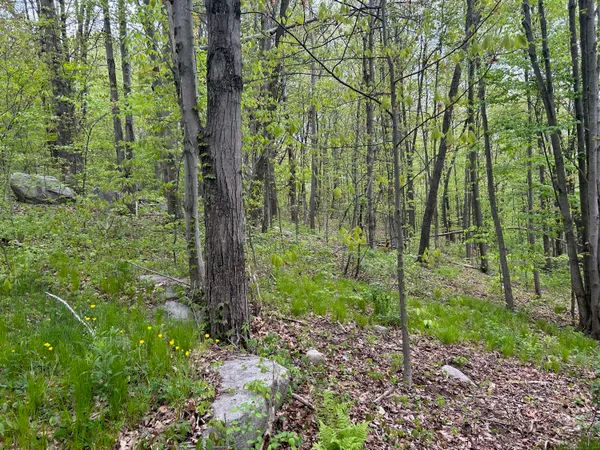 $195,000 | 68 Westledge Drive, Torrington, CT 06790