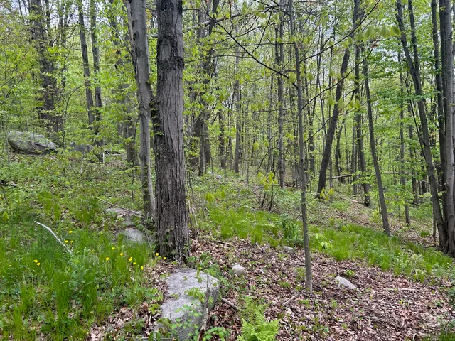 $195,000 | 68 Westledge Drive, Torrington, CT 06790