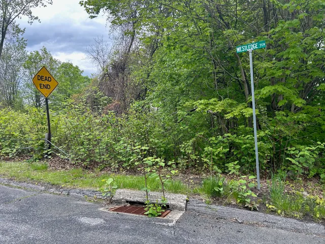a view of a field with trees in background