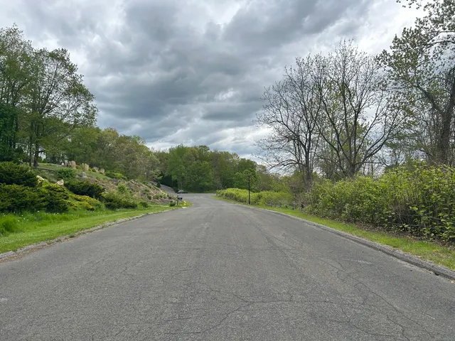 a view of a yard with plants and a trees