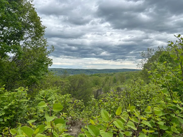 a view of outdoor space and garden