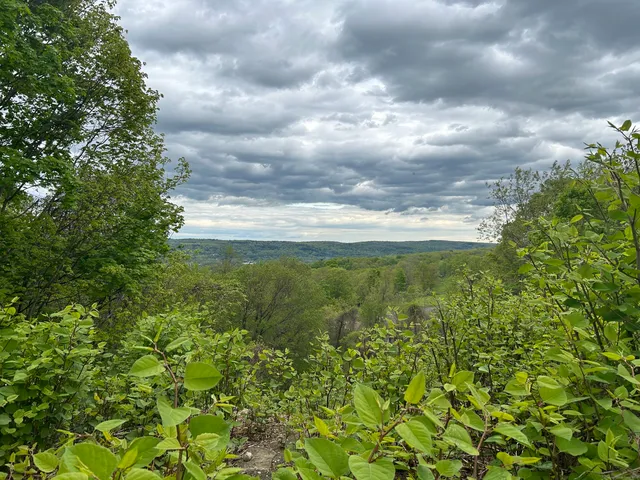 a view of outdoor space and garden