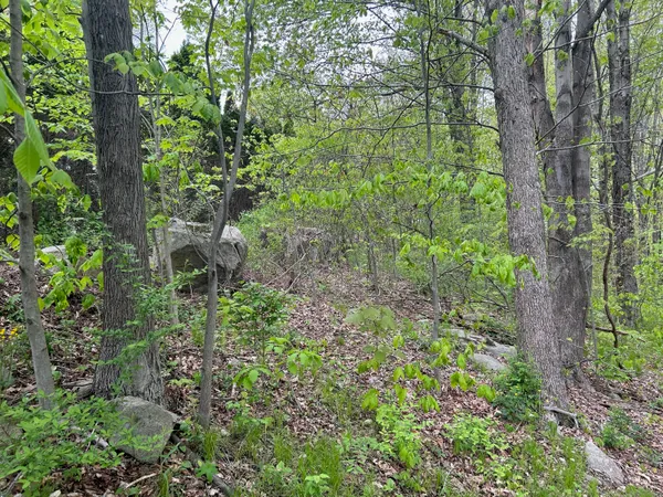a view of a chair and table in the garden