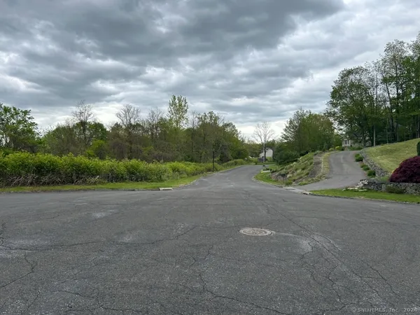 a view of a bunch of trees