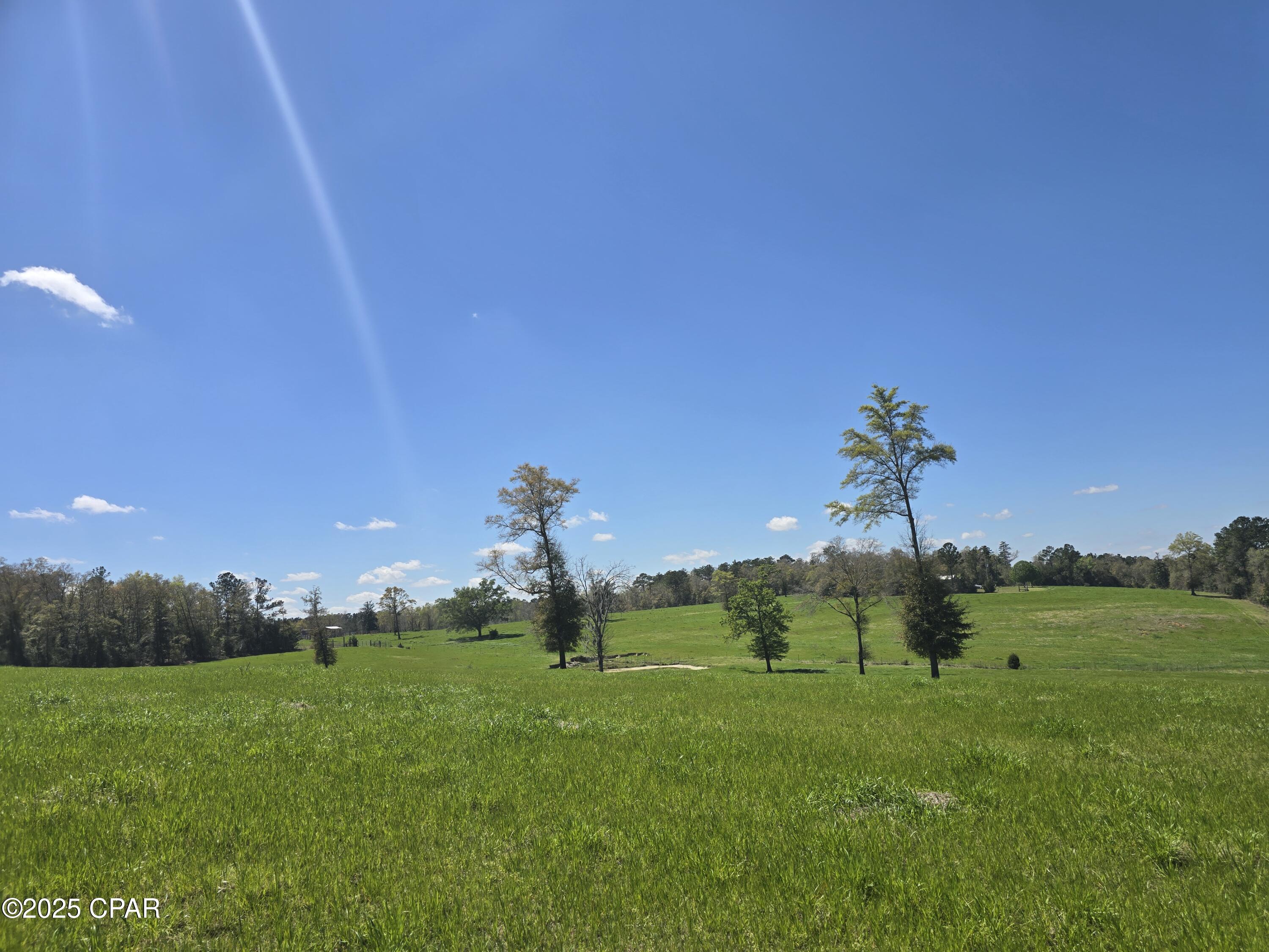 0 Posey Acres Road Chipley, FL 32428 - Photo 30 of 47
