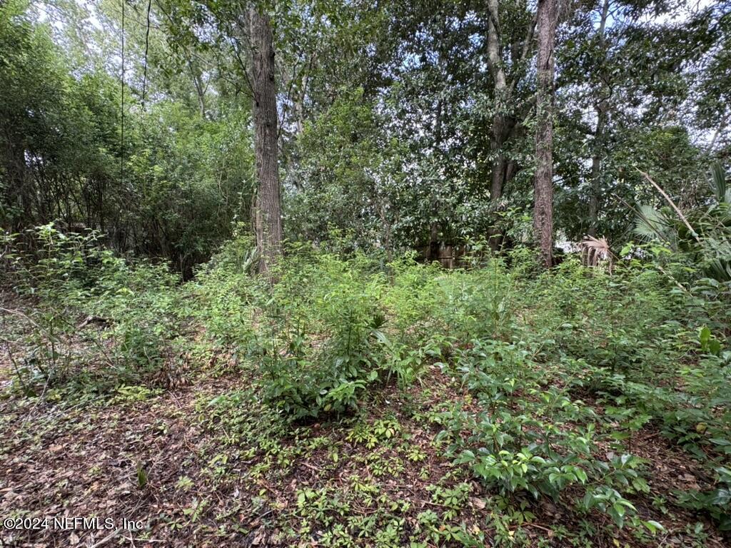 230 Katherine Road, Unit A & B Jacksonville, FL 32218 - Photo 63 of 69 Lots of Space