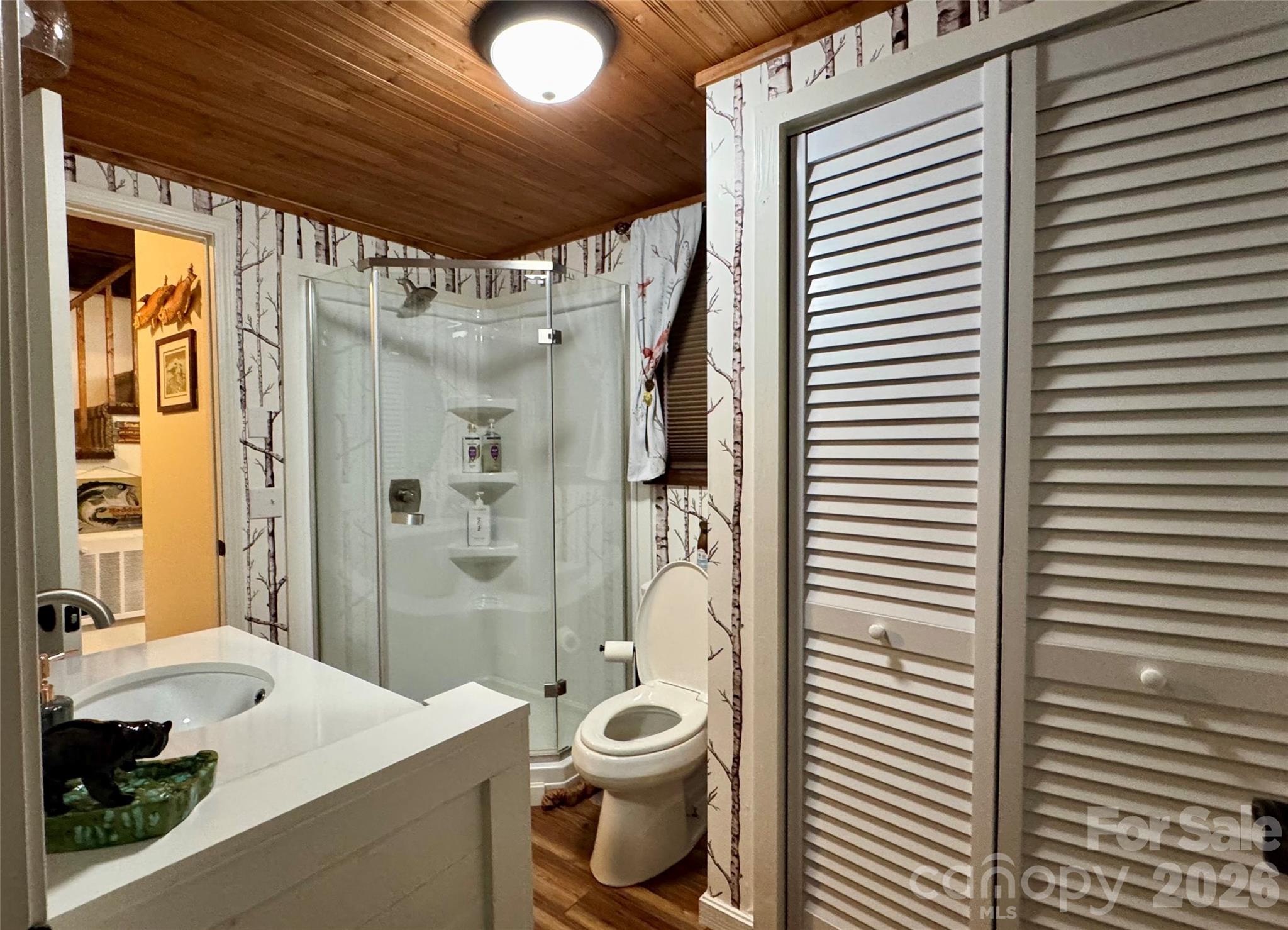 105 Pinnacle Ridge Road Beech Mountain, NC 28604 - Photo 28 of 38 a bathroom with a sink a toilet and shower