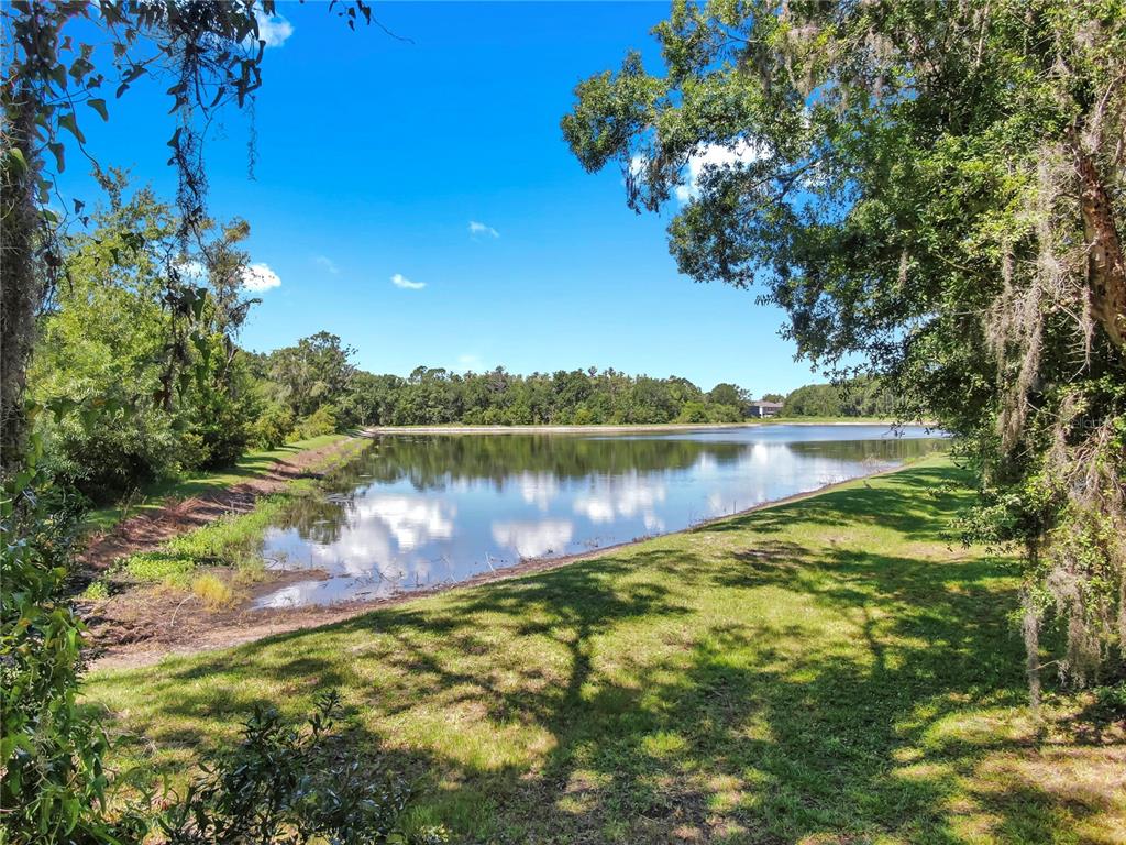 1753 Ranchette Road Wesley Chapel, FL 33543 - Photo 4 of 60 Gallery Image 4