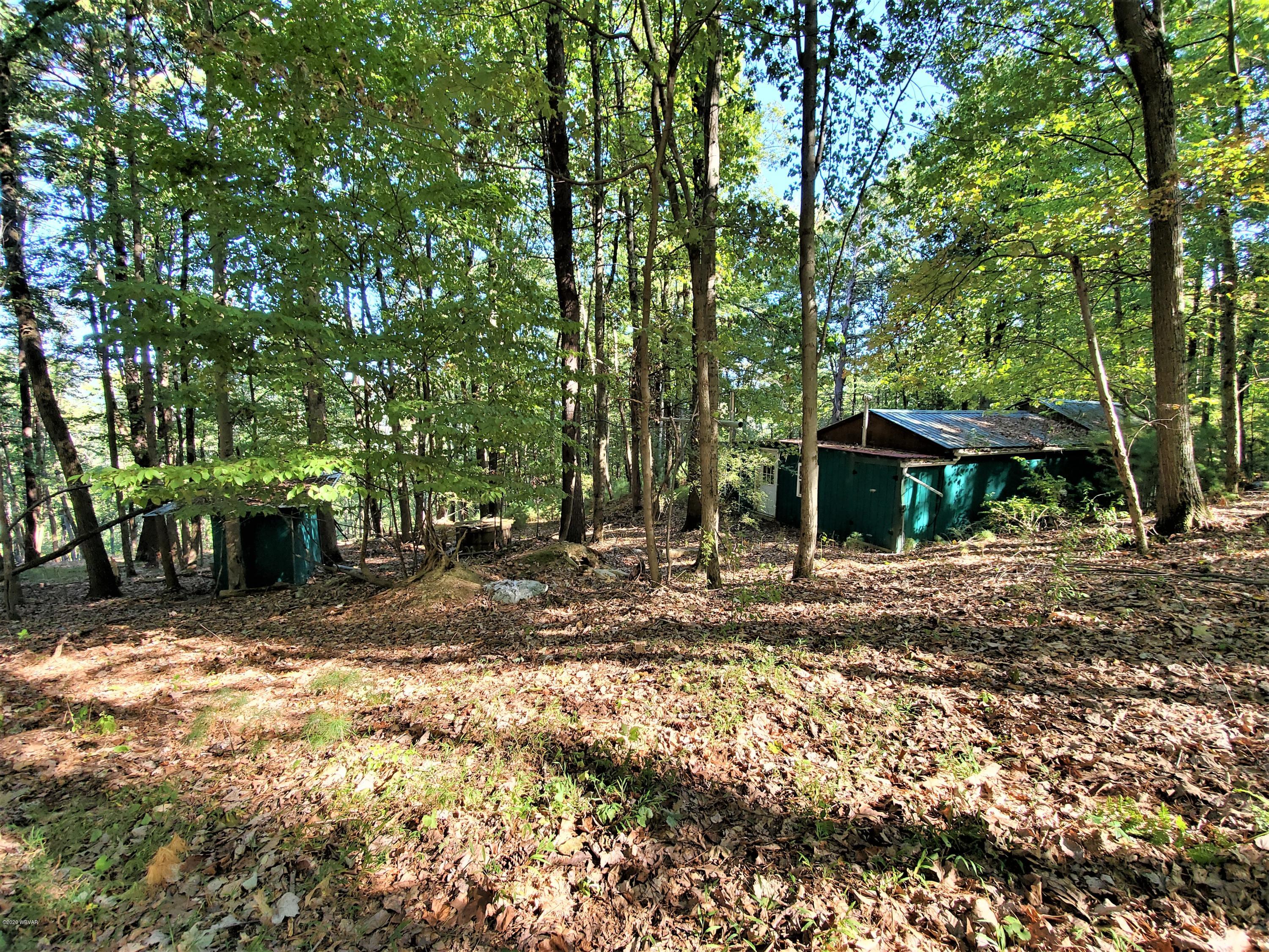 931 Jones Road Mill Hall, PA 17751 - Photo 13 of 14 Gallery Image 13