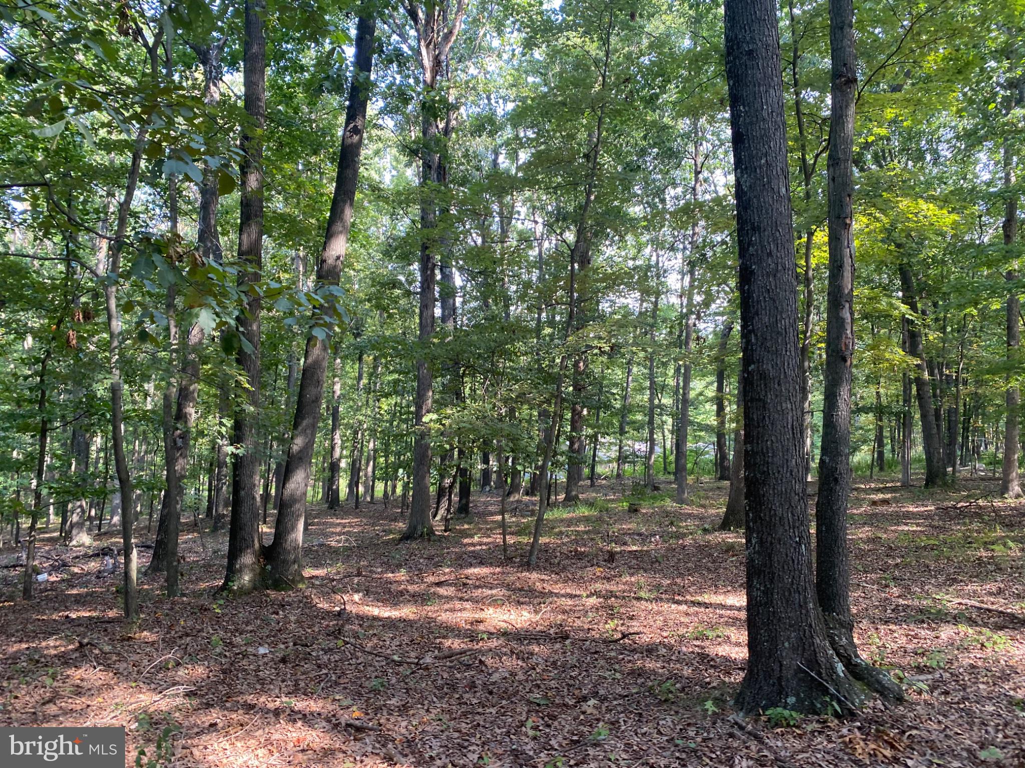 6376 Spring Gap Road Slanesville, WV 25444 - Photo 10 of 13 Gallery Image 10