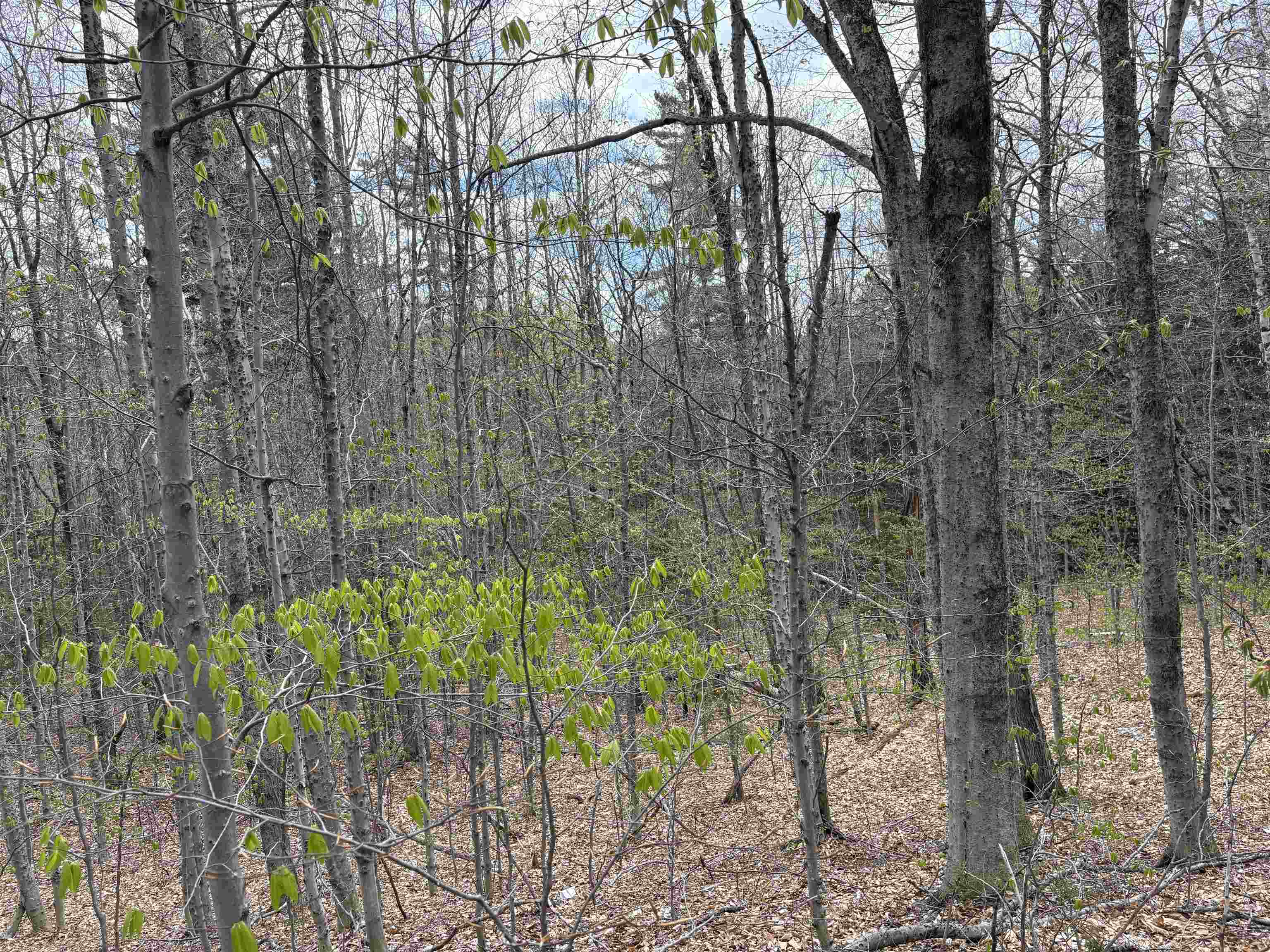 0 East Hill Road Andover, VT 05143 - Photo 10 of 17
