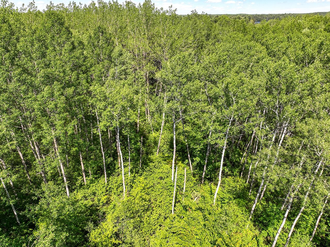 3-acres Birch Bay Road Tomahawk, WI 54487 - Photo 7 of 7 Gallery Image 7