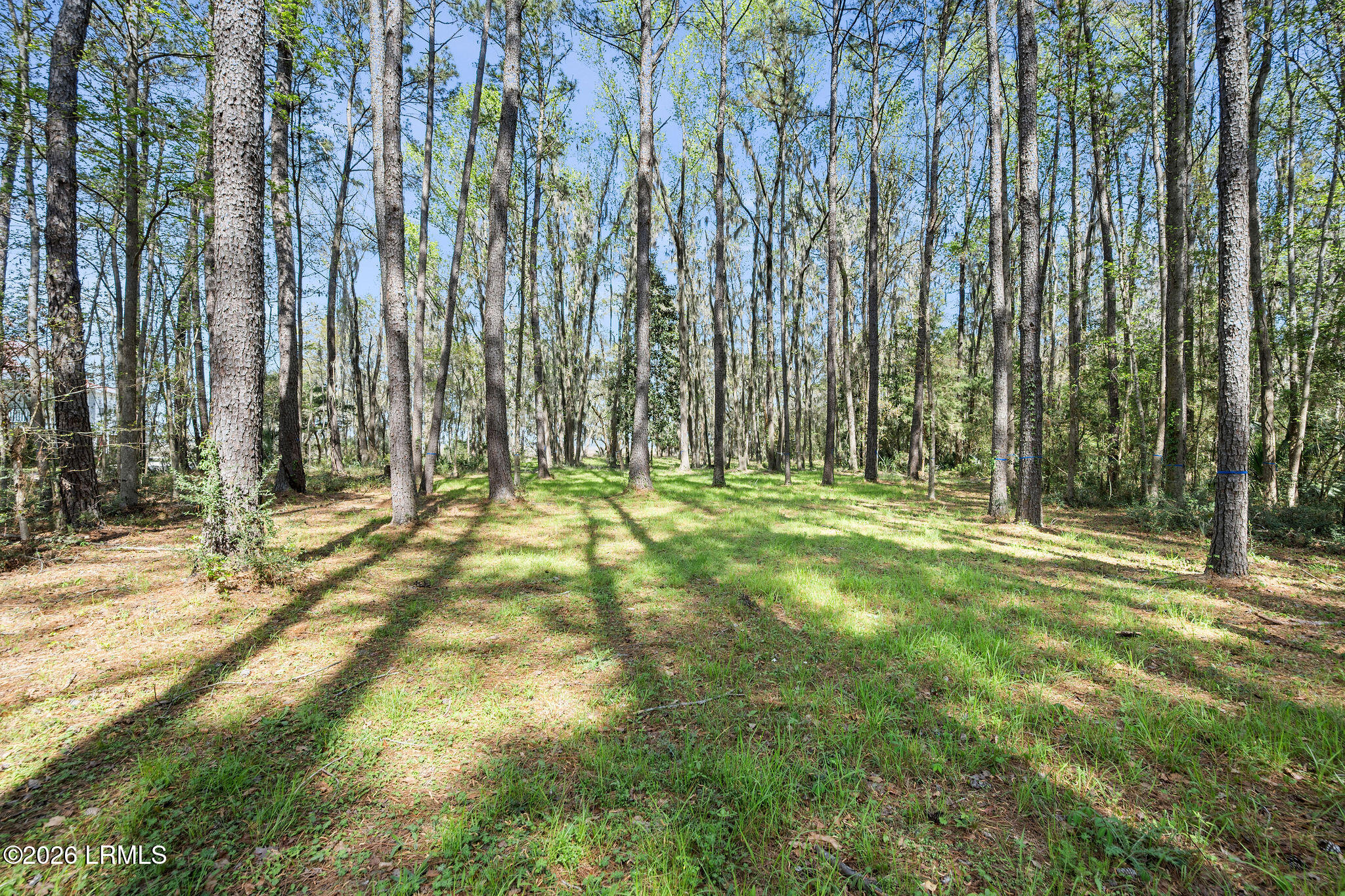 3 Broadview Drive Ridgeland, SC 29936 - Photo 10 of 24 7 (2) - Broadview3-25