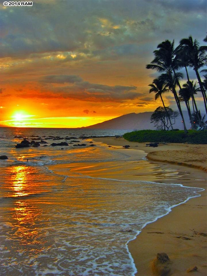 480 Kenolio Road, Unit 13204 Kihei, HI 96753 - Photo 17 of 18 a view of an ocean