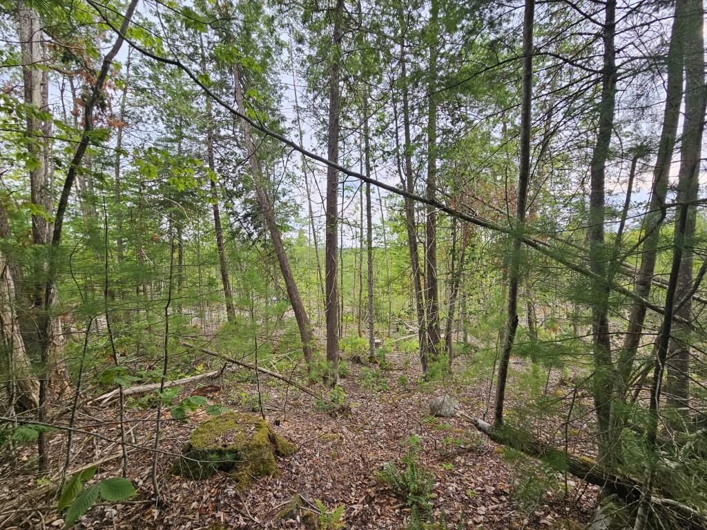 22-03 Rowell Mountain Road Solon, ME 04979 - Photo 40 of 55 20260721_162622