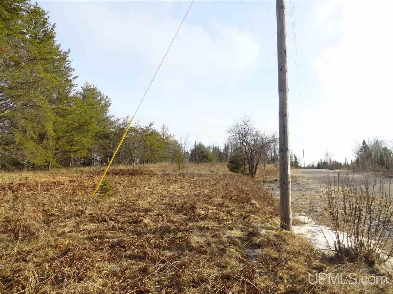 116-acres 116-acres Co Road Negaunee, MI 49866 - Photo 12 of 37