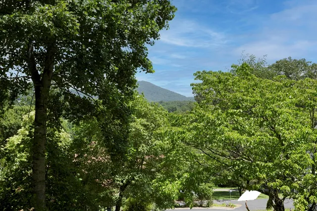 $450,000 | 1801 Bassett Lane, Young Harris, GA 30582