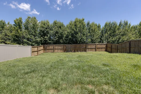 a view of backyard with green space