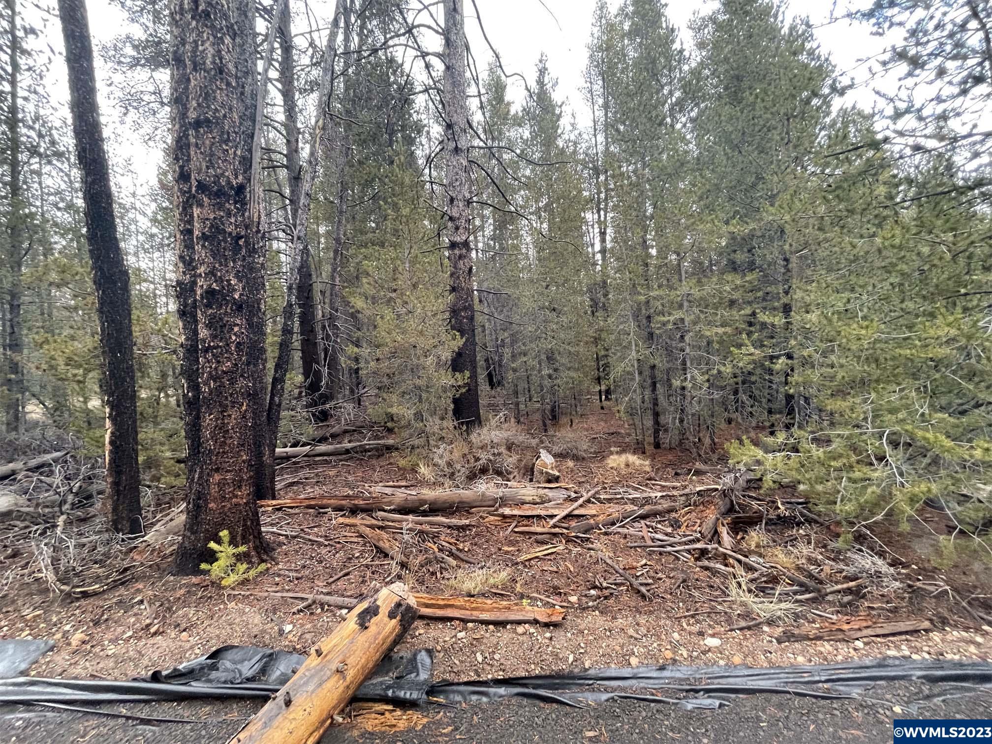 500 Cloudcap Drive Chiloquin, OR 97624 - Photo 14 of 23