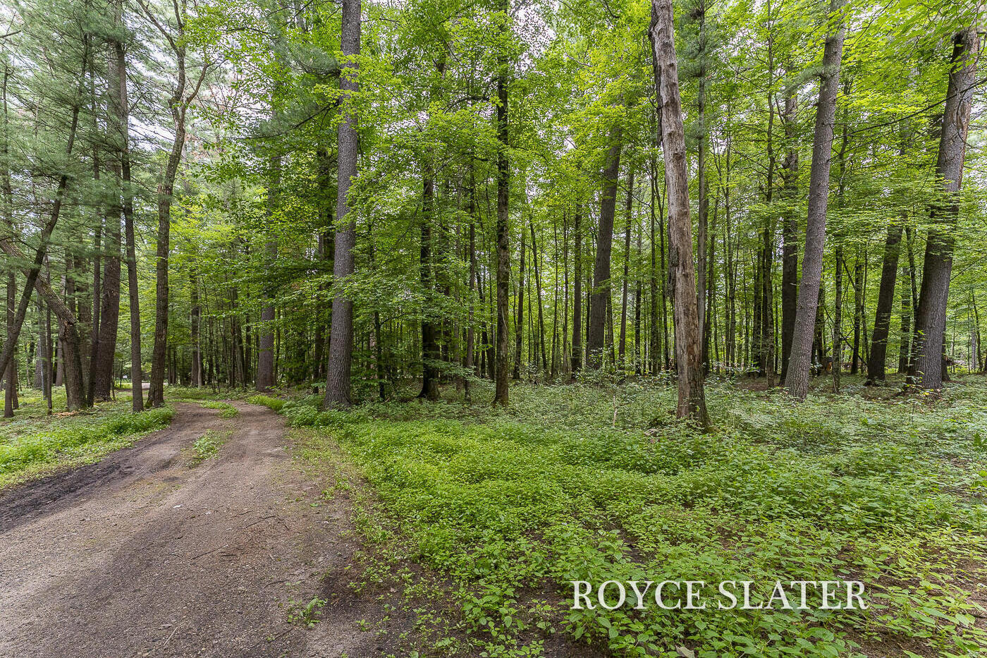 11442 Whitefish Road Newaygo, MI 49337 - Photo 12 of 33 Whitefish_11