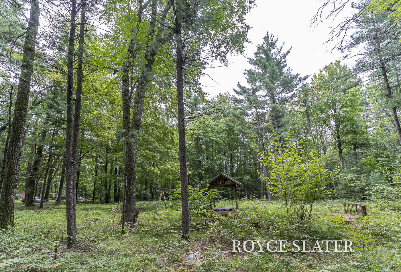 11442 Whitefish Road Newaygo, MI 49337 - Photo 2 of 33 Whitefish_41